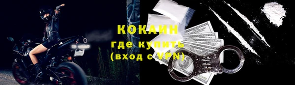 молекула духа Арсеньев