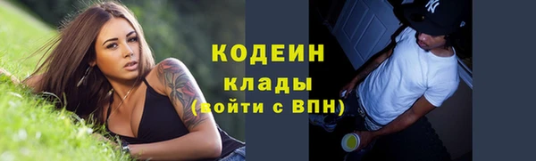 молекула духа Арсеньев