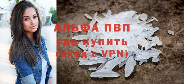 стаф Аркадак