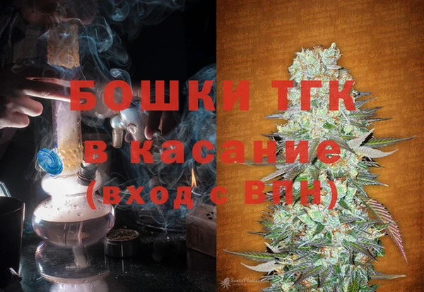 стаф Аркадак