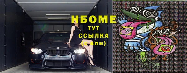 стаф Аркадак
