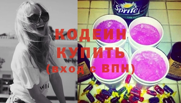индика Балабаново