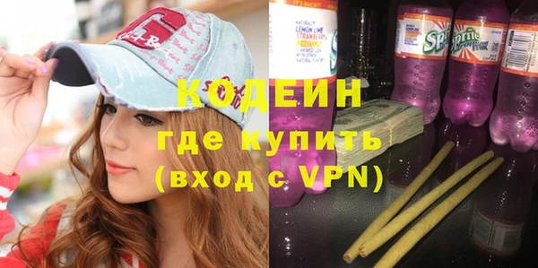 молекула духа Арсеньев