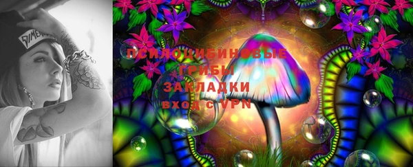 трава Армянск