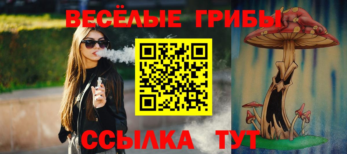 Псилоцибиновые грибы прущие грибы Курган