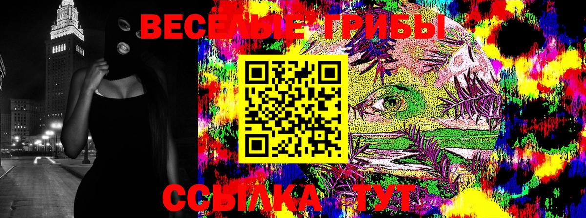 Псилоцибиновые грибы Psilocybine cubensis  Вход с VPN  Курган  Галлюциногенные грибы Psilocybe 