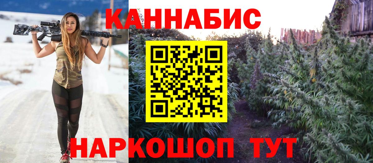 Конопля OG Kush Курган